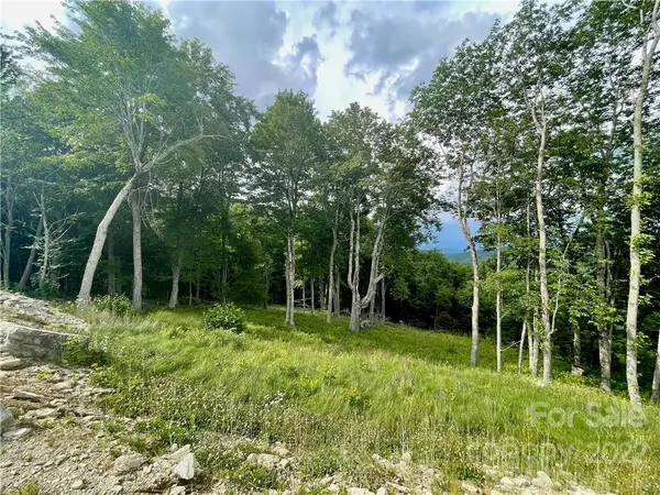 TBD Eagle Peak TRL #96, Banner Elk, NC 28604