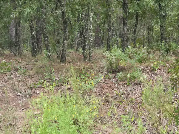 SW 76TH LN, Dunnellon, FL 34432