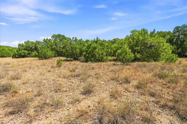 TBD 10.68 Ac Lipan RUN, Fischer, TX 78623