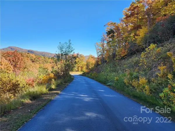 0 Winding Ridge None #164, Lake Lure, NC 28746