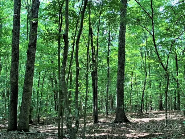 0 Nablus RD #1, Waxhaw, NC 28173