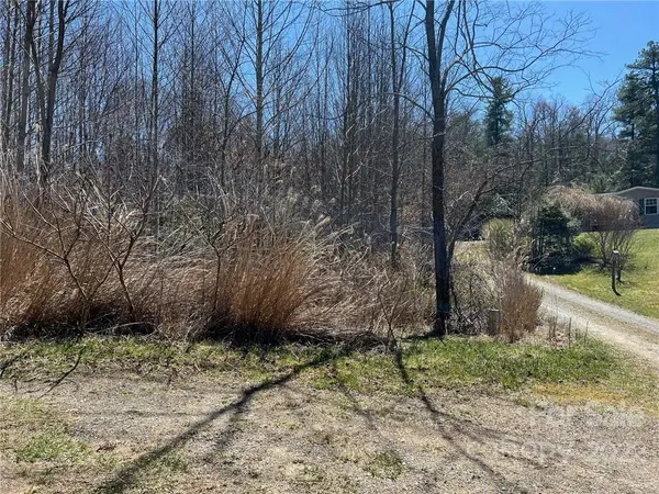TBD Ladybug LN #5, Penrose, NC 28766