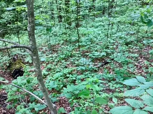 6B & 6C Florence RD, Black Mountain, NC 28711