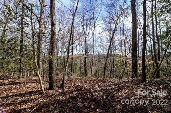 6258 Ruffin LN, Conover, NC 28613