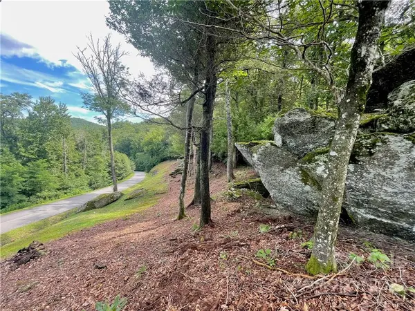 TBD Firethorn TRL #139/140, Blowing Rock, NC 28605