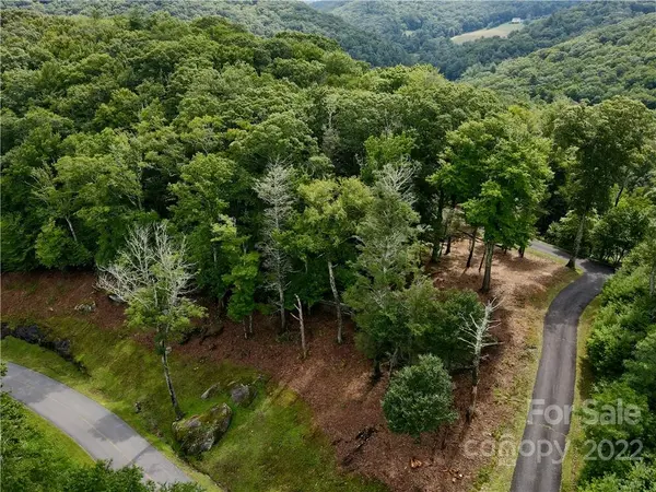 TBD Firethorn TRL #139/140, Blowing Rock, NC 28605