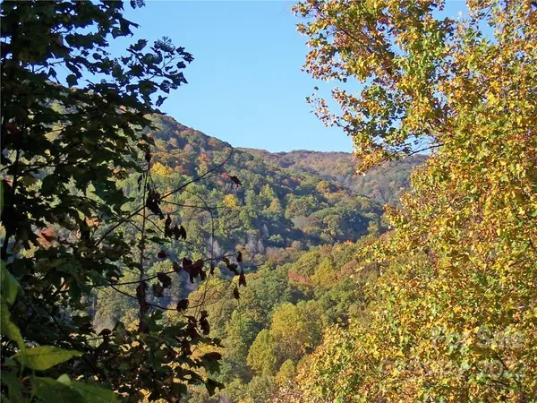 471 Cat Pen BR #16, Hot Springs, NC 28743