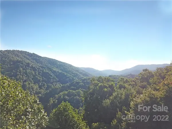 471 Cat Pen BR #16, Hot Springs, NC 28743