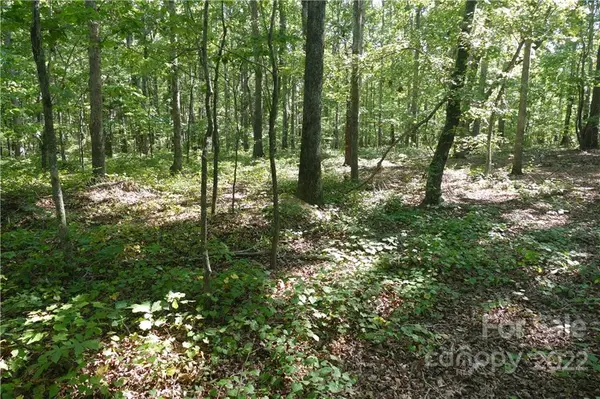 2450 Dutch RD, Mount Pleasant, NC 28124