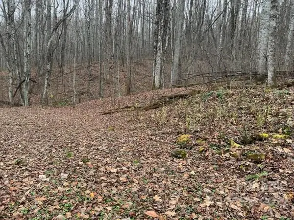 000000 Timberlane RD, Waynesville, NC 28786