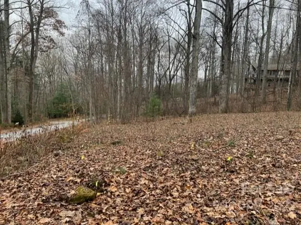 000000 Timberlane RD, Waynesville, NC 28786