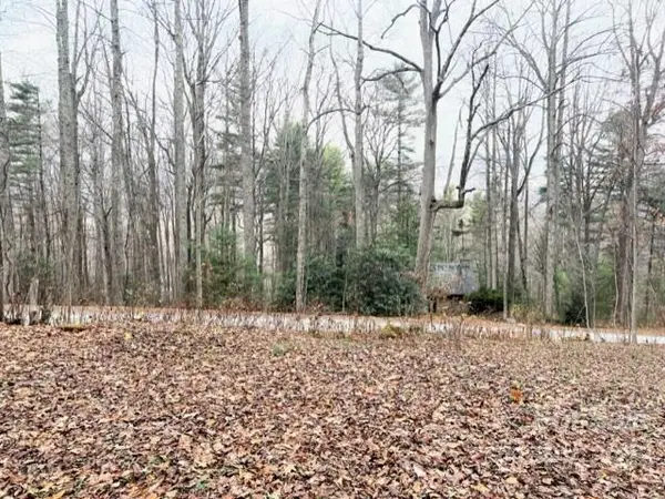 000000 Timberlane RD, Waynesville, NC 28786