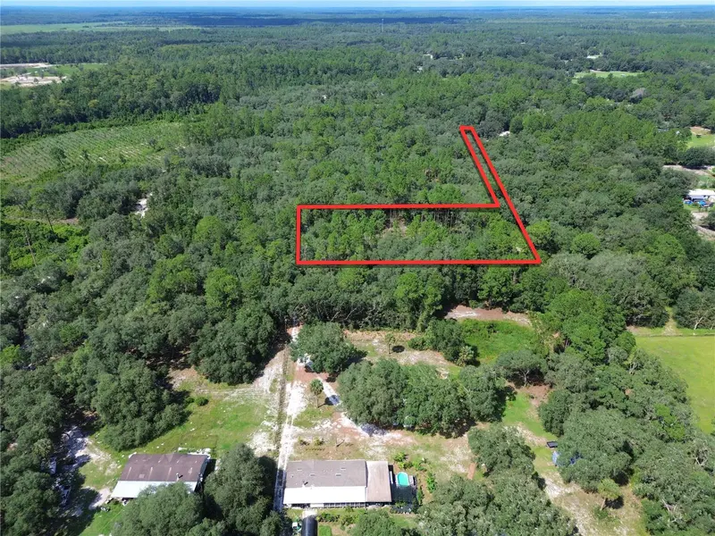 6870 NE 192ND PL, Citra, FL 32113