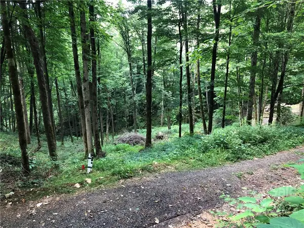 2605 Black Rock Rd Black Rock RD #32 and 33, Cherokee, NC 28751