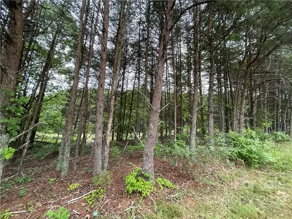 000 Ed Craig RD, Vale, NC 28168
