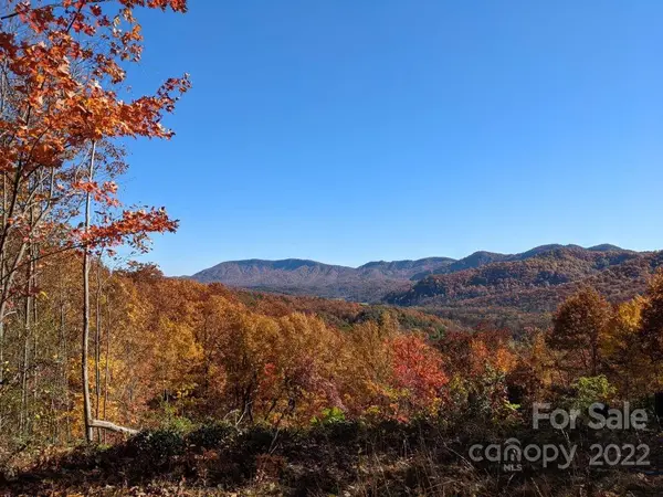 Lot C-29  133 Nuthatch LN #Lot C-29, Black Mountain, NC 28711