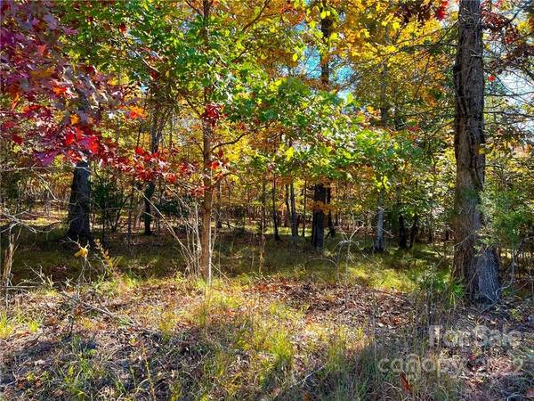 0 Zachary LN #32, Mill Spring, NC 28756