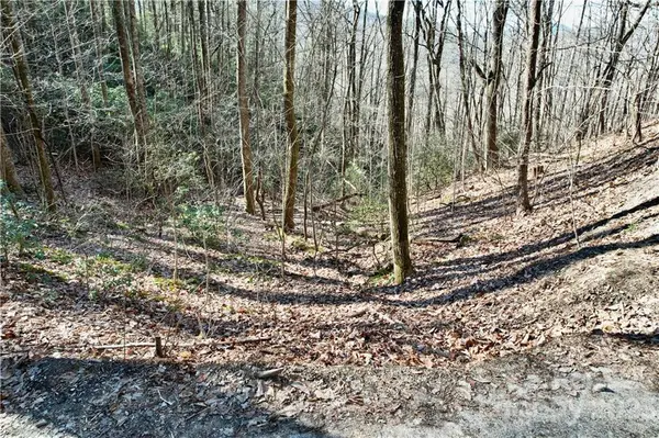 364 Rock Creek RD #10 and 11, Black Mountain, NC 28711