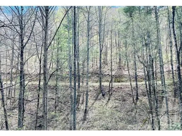 0 Enchanted Forest DR, Sylva, NC 28779