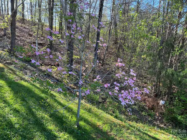 50 Compass Park DR, Weaverville, NC 28787