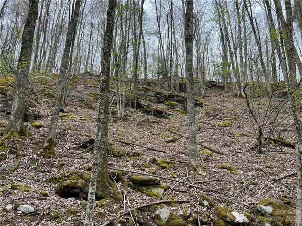 TBD Red Fox LN #Tract 3, Beech Mountain, NC 28604