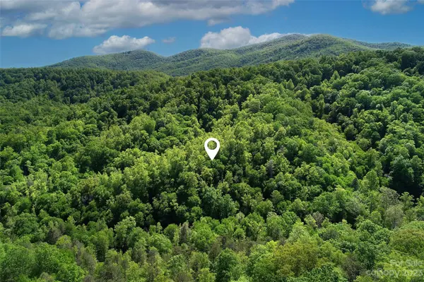 99999 Rush Creek RD, Black Mountain, NC 28711
