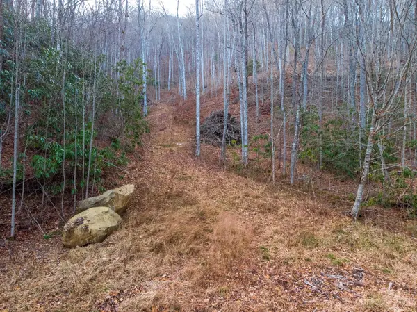 000 Sam Cove RD, Robbinsville, NC 28771