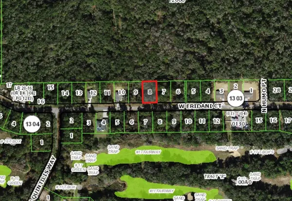 303 W ERIDANI CT, Citrus Springs, FL 34434