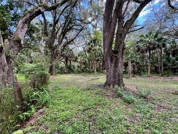 302 NE BAY AVE, Micanopy, FL 32667