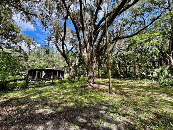 302 NE BAY AVE, Micanopy, FL 32667