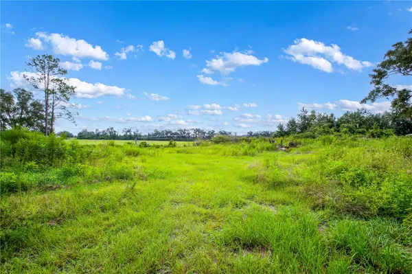 243 SW REIGEL CT, Lake City, FL 32024
