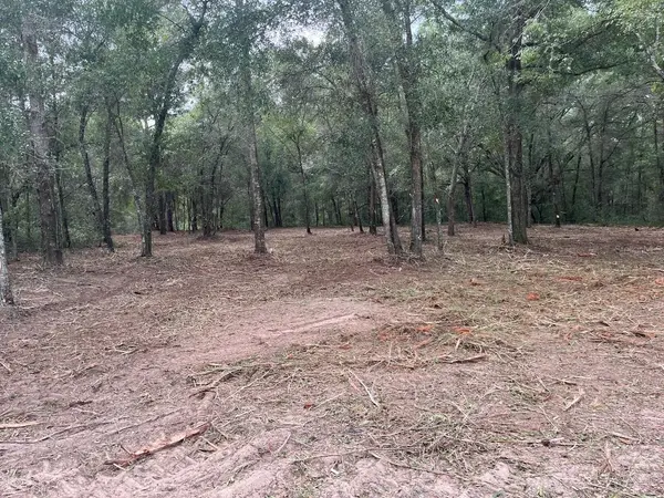 2 SW 150TH CT, Ocala, FL 34481