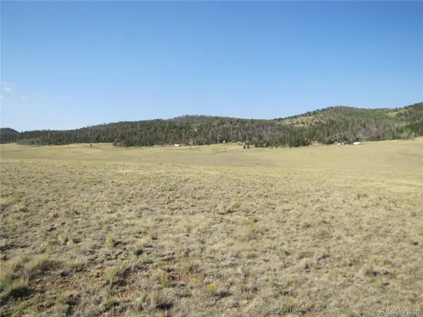 1027 Bolster DR, Hartsel, CO 80449