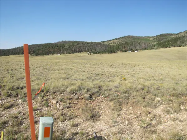 1027 Bolster DR, Hartsel, CO 80449