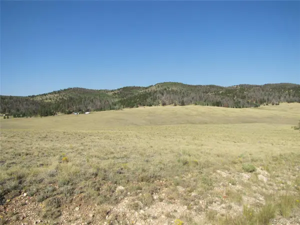 1027 Bolster DR, Hartsel, CO 80449