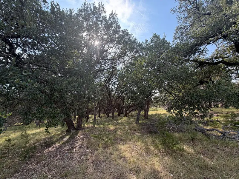 4000 River RD, Wimberley, TX 78676