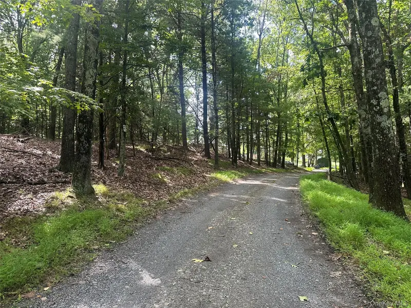 Cedar DR, Elizaville, NY 12523