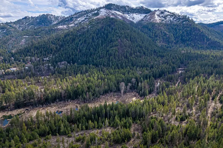 41XX Grouse Creek Rd, Loon Lake, WA 99148