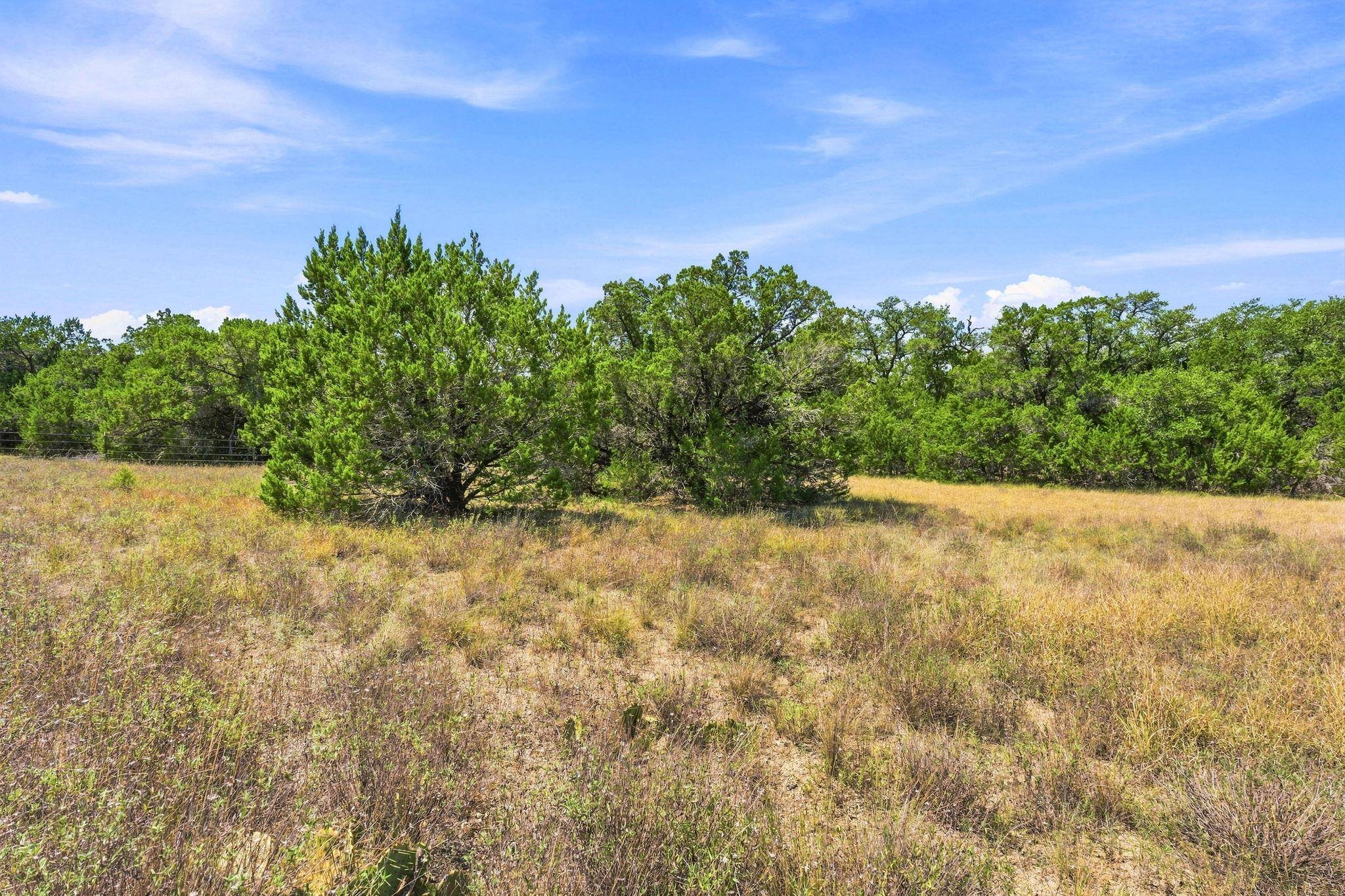 TBD Lot 2 Lipan RUN, Fischer, TX 78623