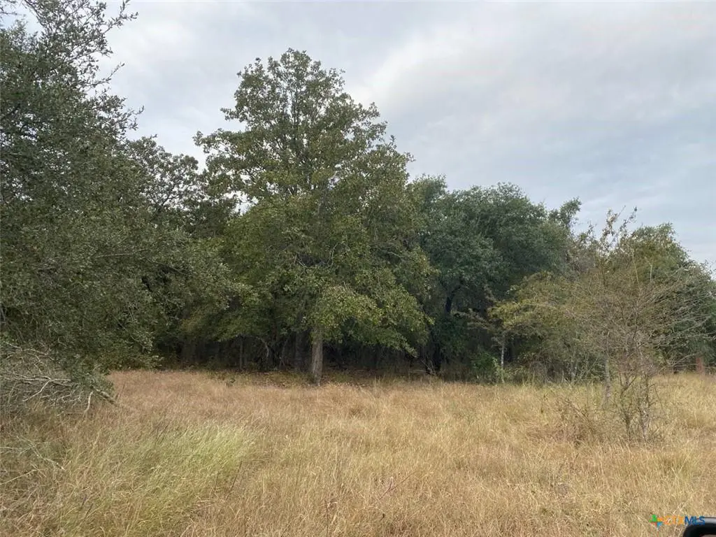 TBD County Road 405, Buckholts, TX 76518