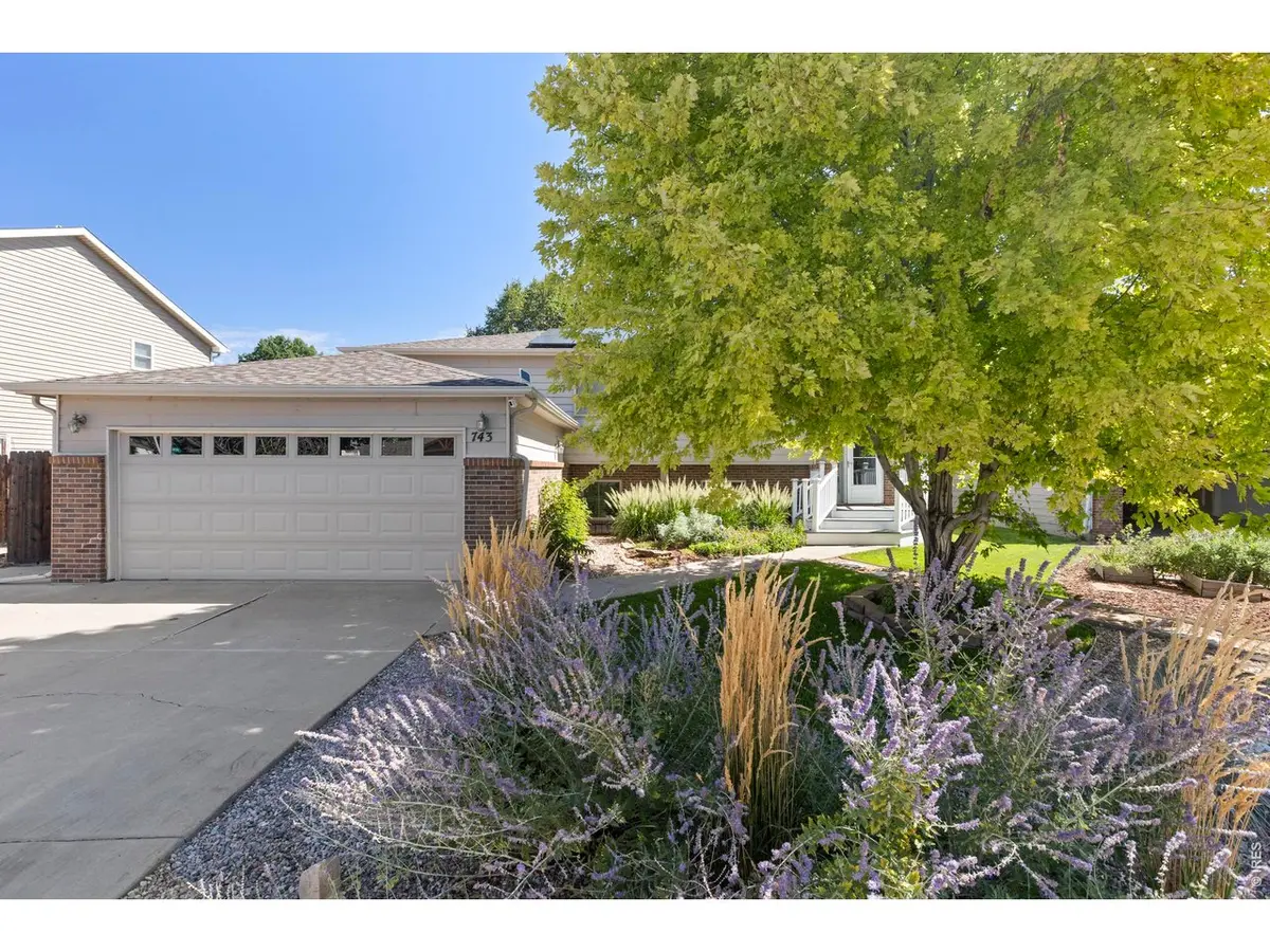 743 Ponderosa, Windsor, CO 80550