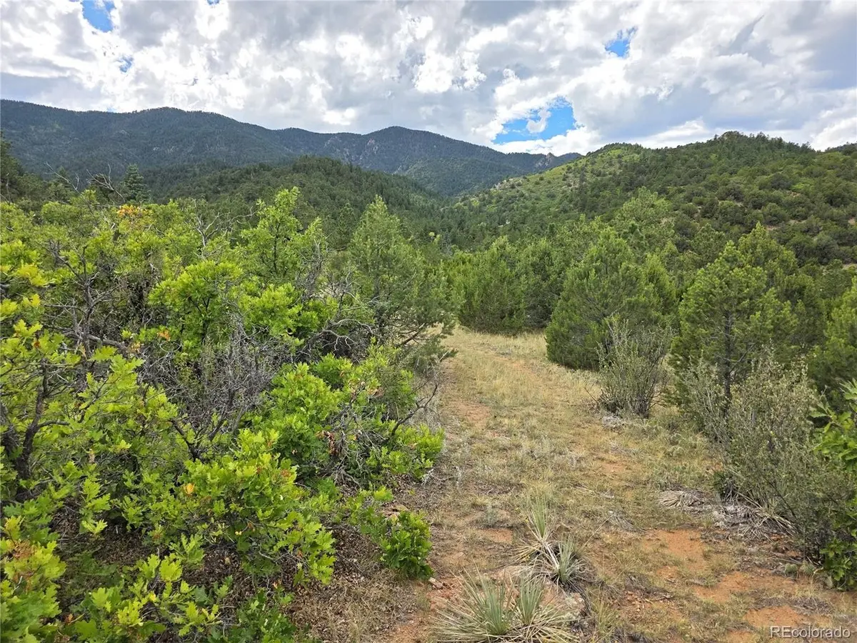 6179 County Road 84, Florence, CO 81226