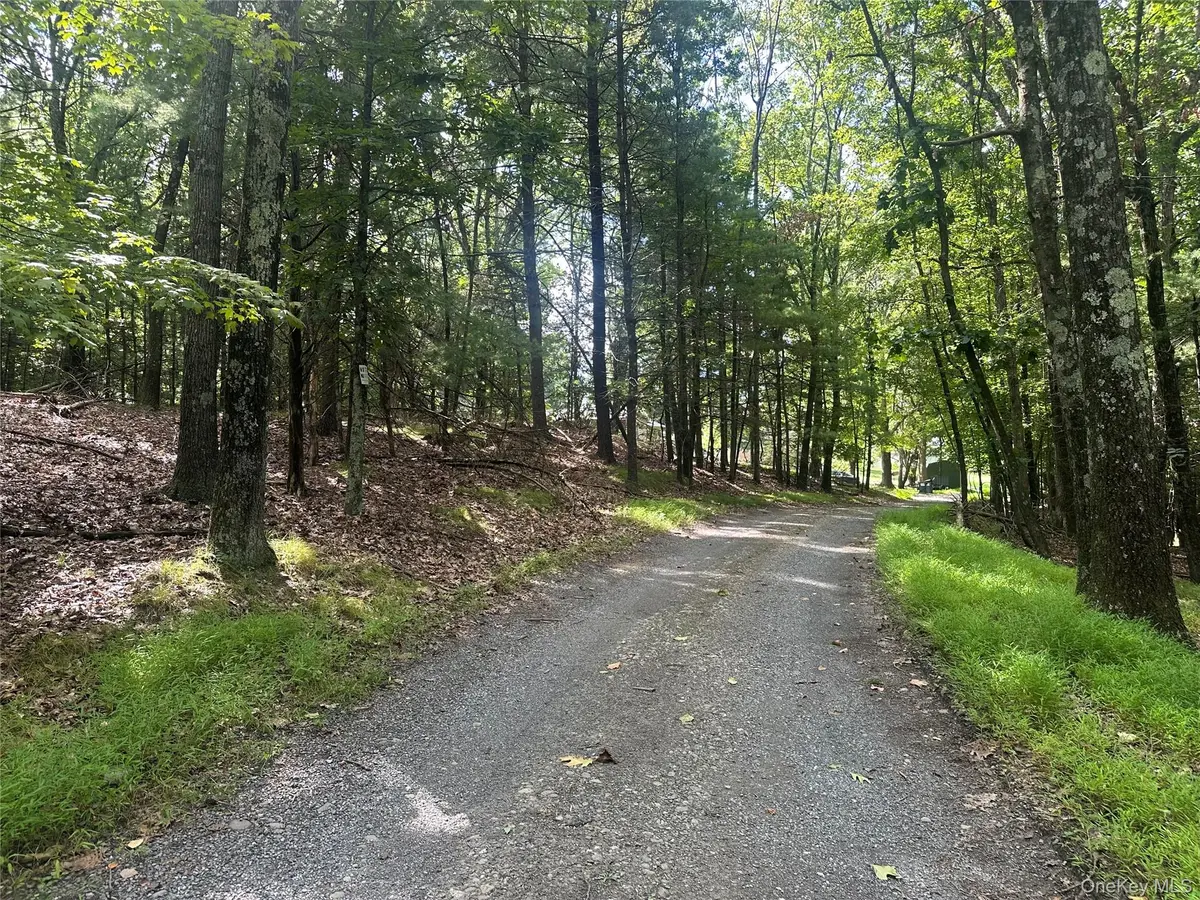 Cedar DR, Elizaville, NY 12523