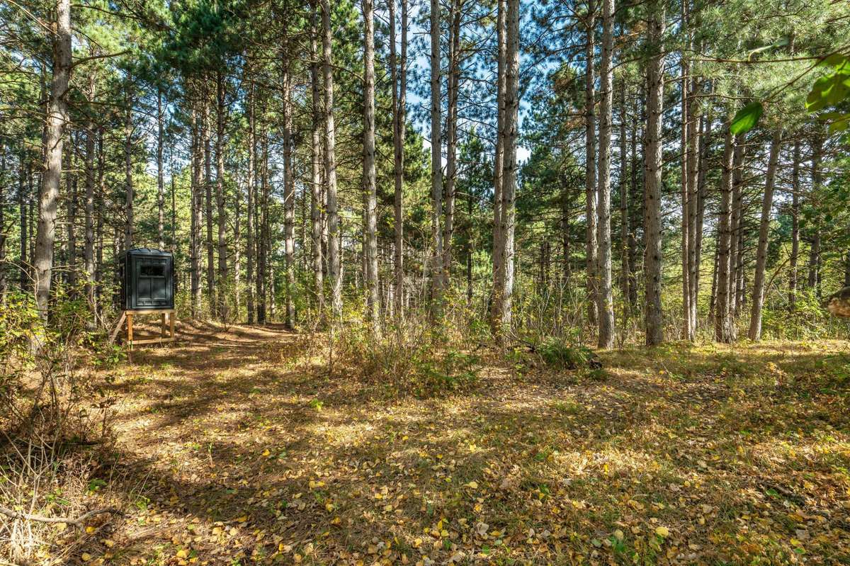 TBD Rocky Ridge RD, Henning, MN 56551