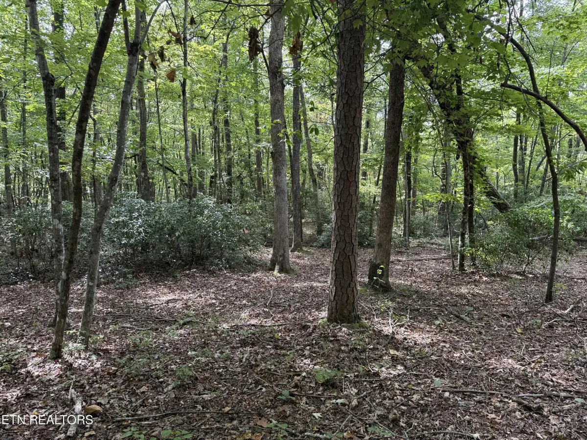 6 Tanner Drive, Monterey, TN 38574