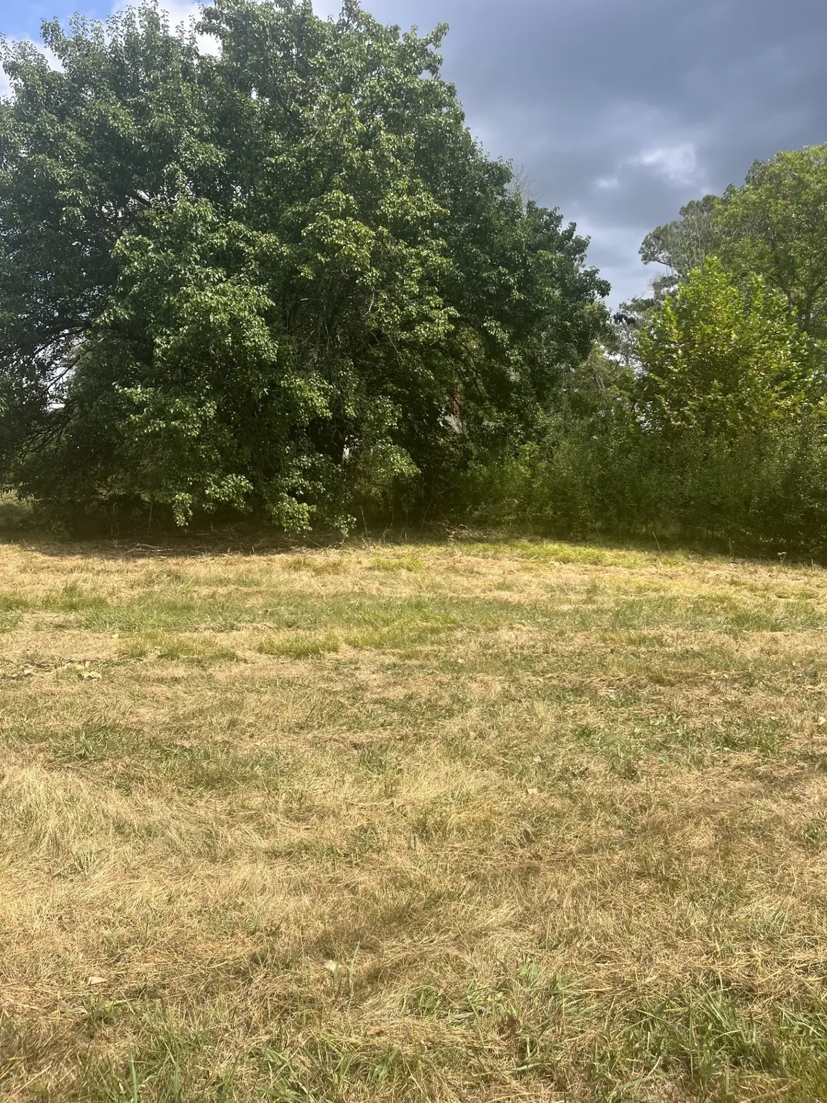 0 NEW MURRAYTOWN ROAD #NW, Cleveland, TN 37312