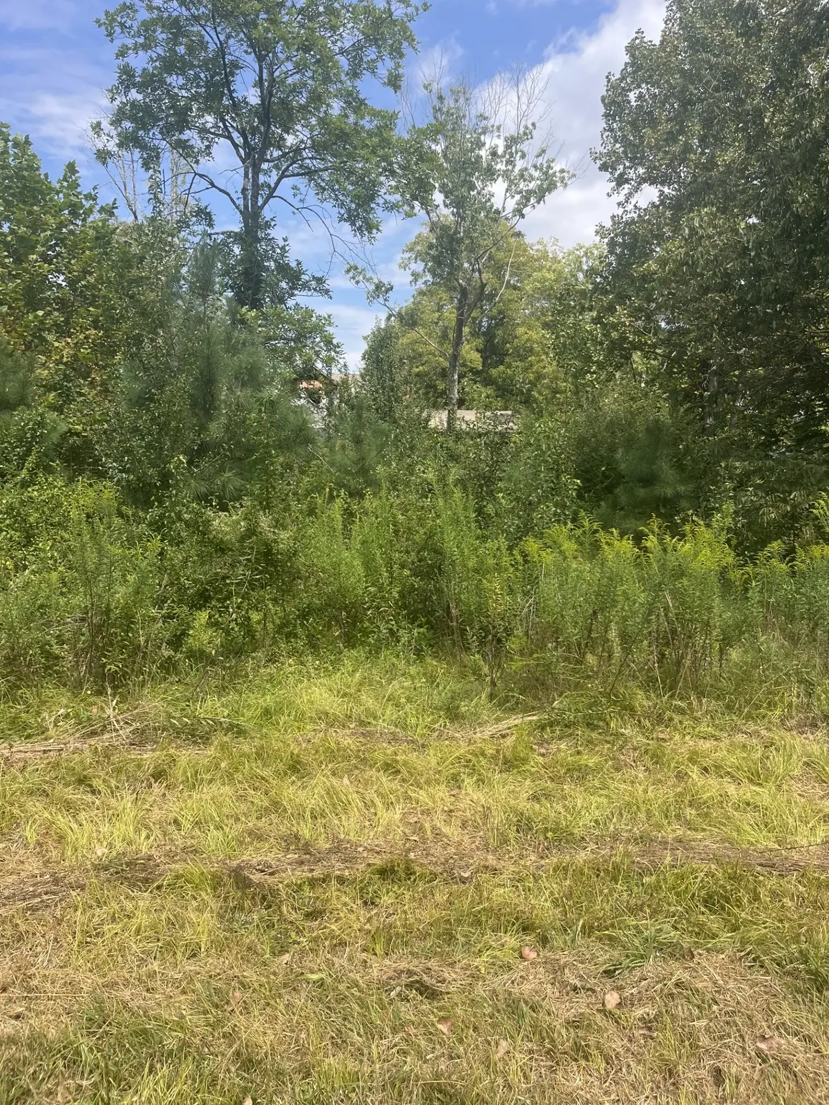 2460 Prospect School Rd #NW, Cleveland, TN 37312