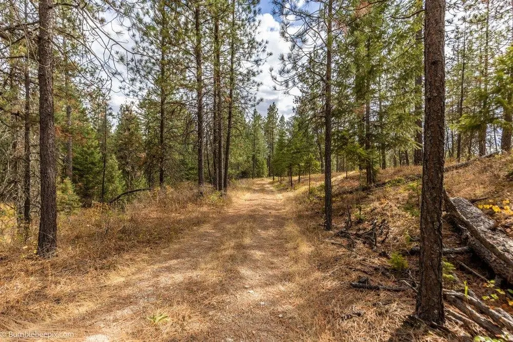 0 N Vista Cir #Lot 6, Colbert, WA 99005