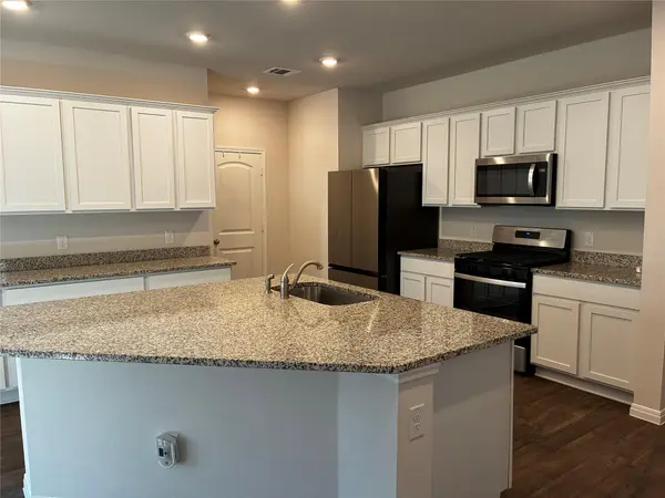 164 Alamo Vine CT, Kyle, TX 78640