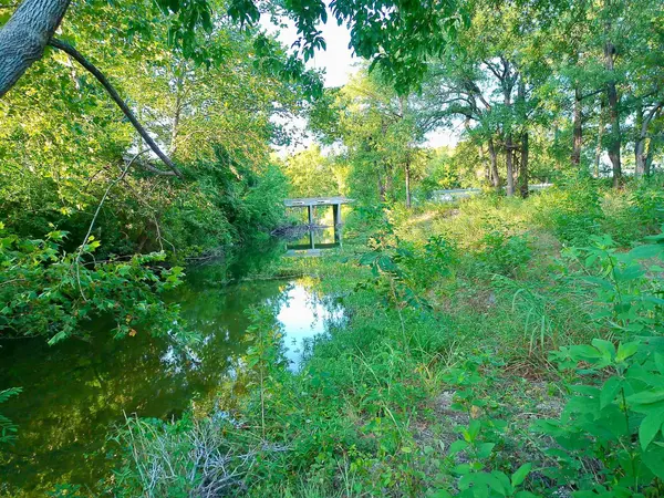 100 Serenity DR, Liberty Hill, TX 78642